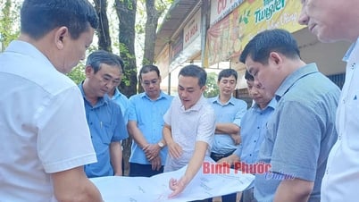 Lãnh đạo tỉnh kiểm tra thực địa, tháo gỡ vướng mắc các dự án giao thông trọng điểm