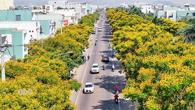 Lim Xet dyes the street corner yellow