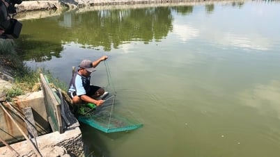 Ninh Hòa: Hiệu quả từ nguồn vốn tín dụng chính sách
