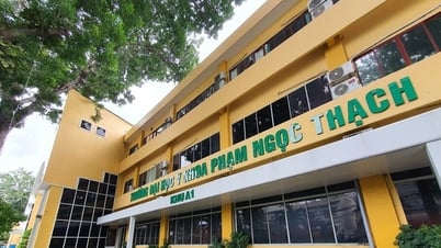 Pham Ngoc Thach 의과대학 교장 경고 및 해고