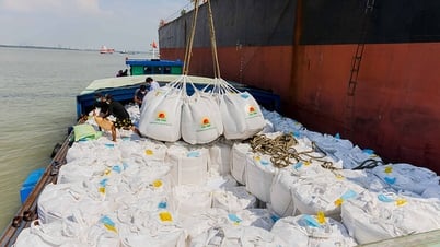 An Giang có 15 thương nhân đủ điều kiện kinh doanh xuất khẩu gạo