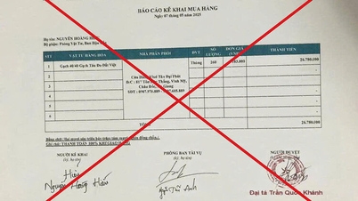 Mạo danh cán bộ biên phòng để lừa đảo