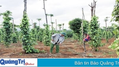 Phát triển giá trị thương hiệu