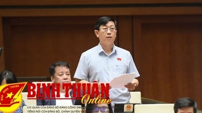 グエン・ヒュー・トン代表が中小企業に対する税制優遇措置の改善を提案。