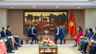 Thủ tướng Phạm Minh Chính tiếp Bộ trưởng Hợp tác phát triển quốc tế và Ngoại thương Thụy Điển