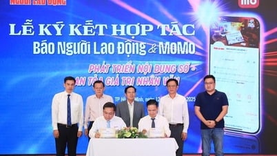Báo Người Lao Động chính thức có mặt trên siêu ứng dụng MoMo