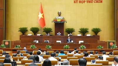 ラムドン省国会議員チン・ティ・トゥ・アン氏：デジタル変革とイノベーションに適した税制改正を提案