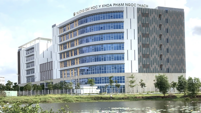 Ông Nguyễn Thanh Hiệp thôi làm hiệu trưởng Trường đại học Y khoa Phạm Ngọc Thạch