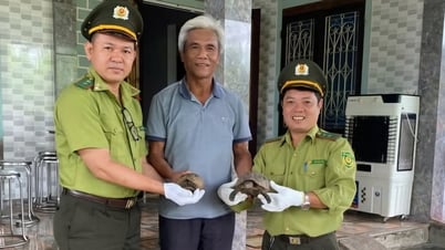 Tiếp nhận 4 cá thể động vật hoang dã quý hiếm
