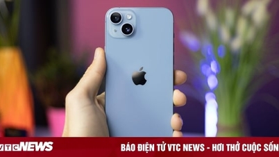 Apple កាត់បន្ថយតម្លៃ ការលក់ iPhone ស៊េរីចាស់ កើនឡើងយ៉ាងខ្លាំង