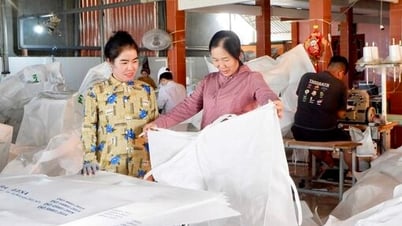 Phụ nữ vươn lên làm kinh tế giỏi