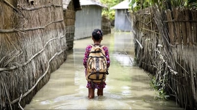 Educación: La pieza que falta en la respuesta al cambio climático