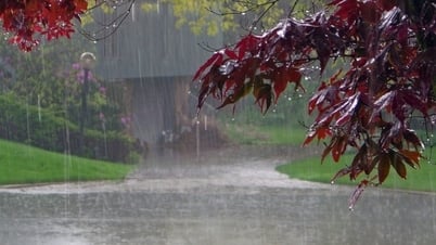 Das heutige Wetter (13. Mai): Vielerorts wird es abends Schauer und Gewitter geben - Lang Son Zeitung und Radio- und Fernsehsender