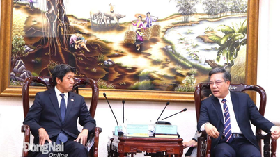 Đồng Nai là điểm đến đầu tư hấp dẫn doanh nghiệp Nhật Bản