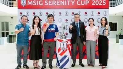 Việt Nam sẽ là nước chủ nhà Giải Vô địch Bóng đá nữ hàng đầu Đông Nam Á 2025