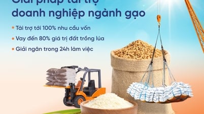 البنك السعودي الهولندي يطلق حلول تمويل مرنة لصناعة الأرز، مواكباً الحكومة في تطوير الزراعة المستدامة