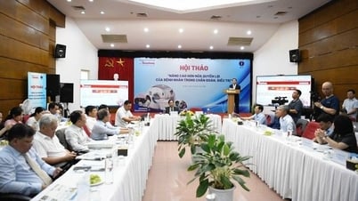 គោលដៅរយៈពេលវែង គឺប្រជាជនវៀតណាមទាំងអស់មានការពិនិត្យ និងព្យាបាលដោយឥតគិតថ្លៃ។