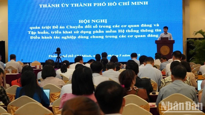 Training on digital transformation software in Party agencies