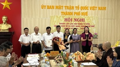 ការបង្កើតក្រុមប្រឹក្សាប្រឹក្សានៃគណៈកម្មាធិការរណសិរ្សមាតុភូមិវៀតណាមនៃទីក្រុងសម្រាប់អាណត្តិ 2024 - 2029