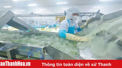 Thủ tướng chỉ đạo chấn chỉnh kỷ cương tạo môi trường kinh doanh cho doanh nghiệp