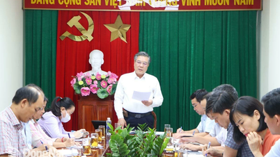 Dong Nai proposes to reorganize the Department of Foreign Affairs after merging Binh Phuoc and Dong Nai provinces.