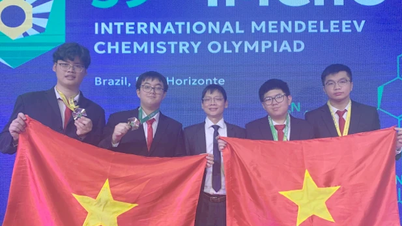 Vietnamesische Studenten gewannen 4 Medaillen bei der Mendelejew-Internationalen Chemie-Olympiade
