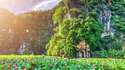 Die 4 besten Orte, um die Lotusblüte in Ninh Binh zu erleben: Bewundern Sie die sanfte alte Hauptstadt in reinem Rosa