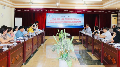 ទទួលបានមតិយោបល់លើសេចក្តីព្រាងគម្រោងអភិវឌ្ឍន៍បុគ្គលិកថែទាំសុខភាពសម្រាប់មនុស្សចាស់នៅក្នុងសហគមន៍