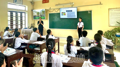« Point lumineux » de la transformation numérique du secteur de l'éducation et de la formation de Hai Hau