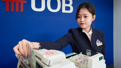 UOB: đồng USD tiếp tục suy yếu, tỷ giá đạt 26.300 đồng trong quý 3
