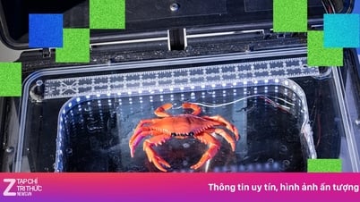KI wird zum „Krabbenfangassistenten“