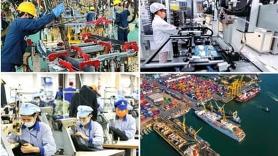 Correcting discipline, creating a favorable investment and business environment for enterprises