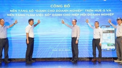 Công bố Nền tảng số “Dành cho doanh nghiệp” trên Hue-S và Nền tảng “Làm việc số” dành cho Hiệp hội Doanh nghiệp