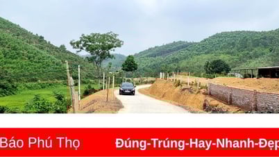 បោះទុនជិត ៣,២ពាន់លានដុង ដើម្បីសាងសង់ផ្លូវបេតុងសម្រាប់ធ្វើចរាចរណ៍ជនបទ