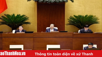 ประชุมสภานิติบัญญัติแห่งชาติ: เสนอจัดตั้งเขตการค้าเสรีในเมืองไฮฟอง