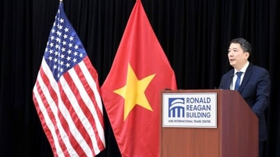 Vietnamese businesses 'land' in the United States: Seeking investment cooperation opportunities from SelectUSA 2025