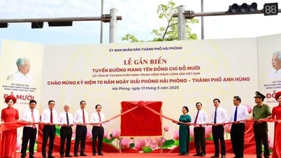 Hai Phong: Se celebró solemnemente la ceremonia de nombramiento de la calle Do Muoi, rindiendo homenaje al destacado líder.