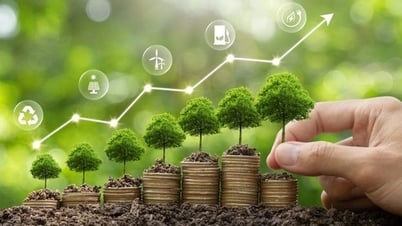 Hội thảo và tập huấn dành cho doanh nghiệp chuyển đổi xanh, phát triển bền vững