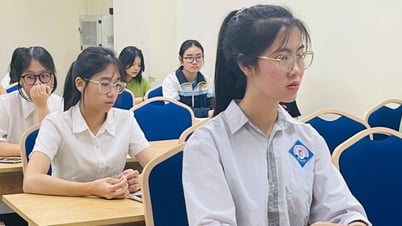 하노이 국립교육대학교 적성검사: 수학과 문학에 응시자가 압도적으로 많았습니다.