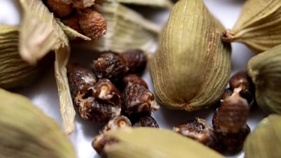 Việt Nam trồng được loại gia vị đắt thứ 3 thế giới, xuất khẩu tiếp tục tăng