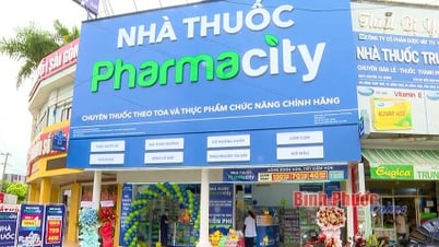 Pharmacity stops trading and recalls counterfeit products produced by Herbitech