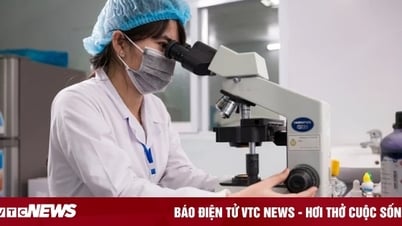 Die Hanoi National University verkürzt die Bachelor-Studienzeit auf 2,5 bis 3 Jahre