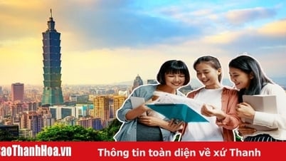 សិក្សានៅបរទេសនៅតៃវ៉ាន់ និងកូរ៉េជាមួយ Bluesea Study Abroad