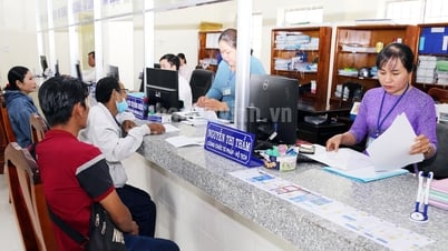 政府はコミューンレベルにおける専門機関および人員の組織を規制する。