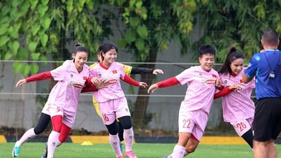 Việt Nam đăng cai Giải Vô địch Bóng đá nữ Đông Nam Á