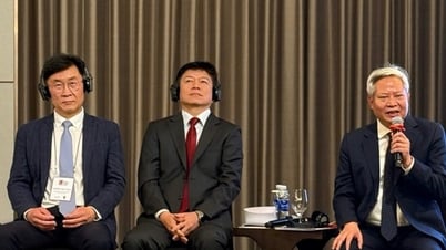 VKIST: Förderung von Wissenschafts- und Technologietalenten durch die Zusammenarbeit zwischen Vietnam und Korea