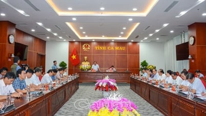 Ca Mau មានបេក្ខជនជាង 11,200 នាក់បានចុះឈ្មោះសម្រាប់ការប្រឡងសញ្ញាបត្រមធ្យមសិក្សាទុតិយភូមិឆ្នាំ 2025