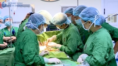 Phấn đấu đưa ghép thận trở thành kỹ thuật thường quy