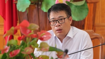 성 인민위원회 부위원장인 응우옌 응옥 푹은 람동, 닌투언, 빈투언을 연결하는 도로 프로젝트의 진행을 가속화하기 위한 회의를 주재했습니다.