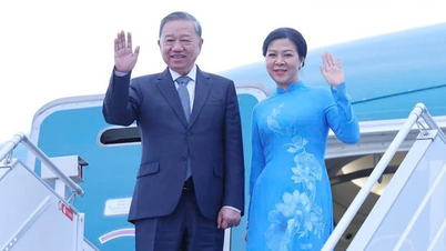Neue Meilensteine, neues Niveau der Beziehungen zwischen Vietnam und traditionellen Freunden